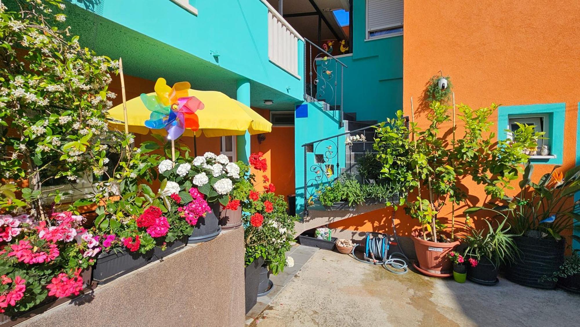 Mexicana Apartment Pink Zadar Exterior photo